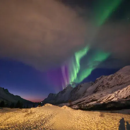 Familievennlig Tromso